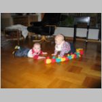 113_1308.html