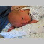 102_0220.html