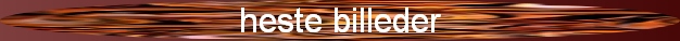 mit billed albums